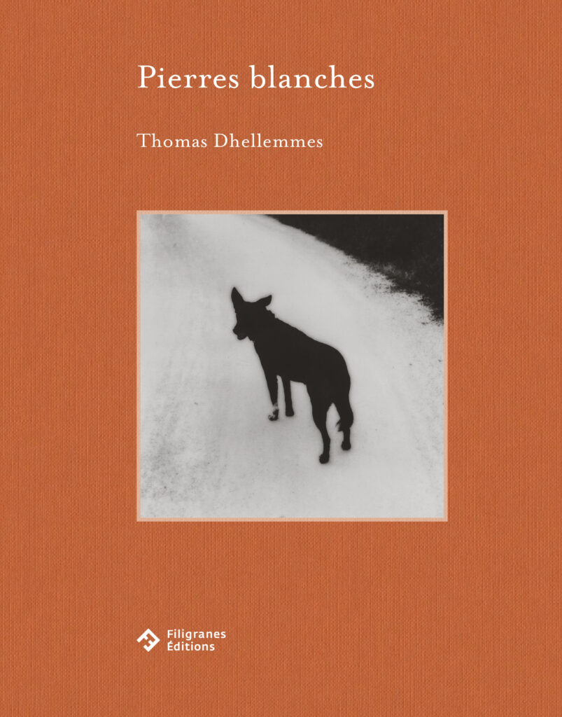 Thomas Dhellemmes, Galerie Polka, Filigranes Editions, Pierres Blanches, bonheur, mémoire, souvenir, polaroid, chronique, livre, photographie, Frédéric Martin, 5ruedu,