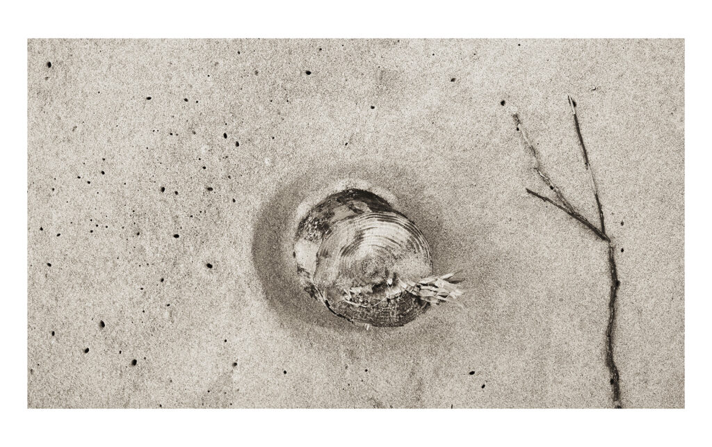 Camille Guichard, ces rivages perdus, galerie Rachel Hardouin, estran, montée des eaux, vague, sable, forêt, mer, ailleurs, cycle, marée, Frédéric Martin, 5ruedu, chronique, livre photo,