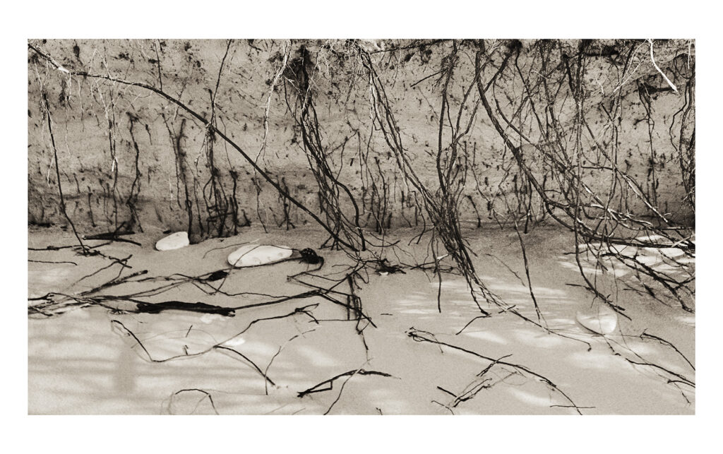 Camille Guichard, ces rivages perdus, galerie Rachel Hardouin, estran, montée des eaux, vague, sable, forêt, mer, ailleurs, cycle, marée, Frédéric Martin, 5ruedu, chronique, livre photo,