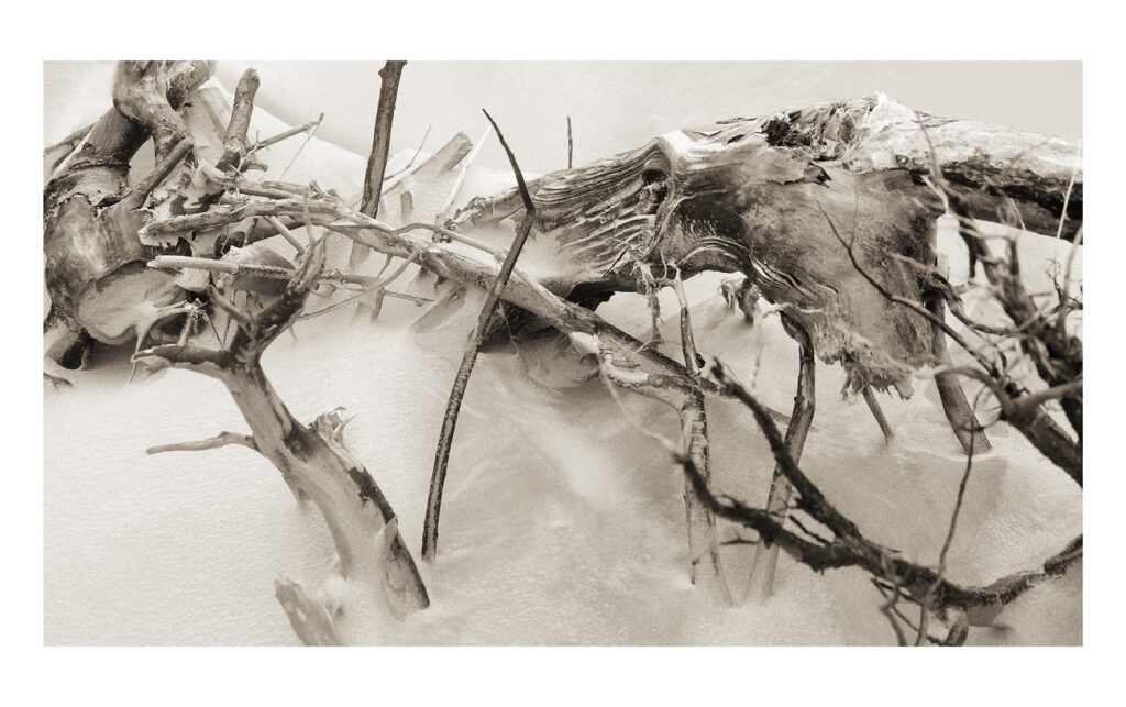 Camille Guichard, ces rivages perdus, galerie Rachel Hardouin, estran, montée des eaux, vague, sable, forêt, mer, ailleurs, cycle, marée, Frédéric Martin, 5ruedu, chronique, livre photo,