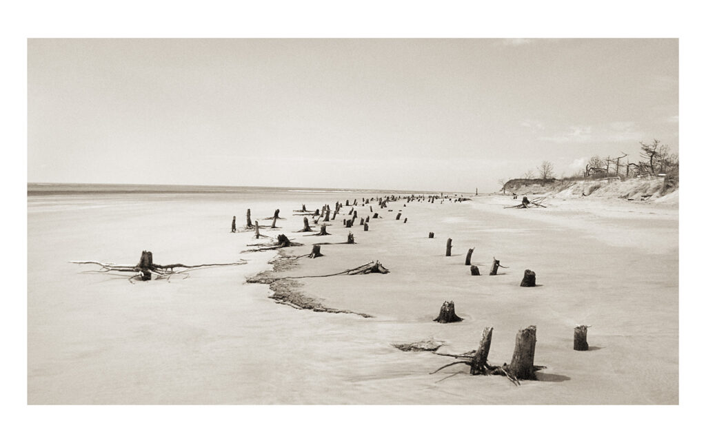 Camille Guichard, ces rivages perdus, galerie Rachel Hardouin, estran, montée des eaux, vague, sable, forêt, mer, ailleurs, cycle, marée, Frédéric Martin, 5ruedu, chronique, livre photo,