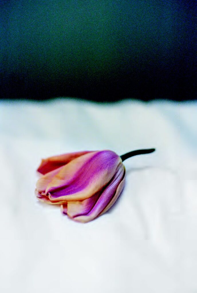 Anne Lise Broyer, La couleur vient après, éditions Loco, Jeu de Paume, monographie, temps, littérature, inquiet, réminiscences, lieux, Frédéric Martin,5ruedu, chronique, livre, photographie,