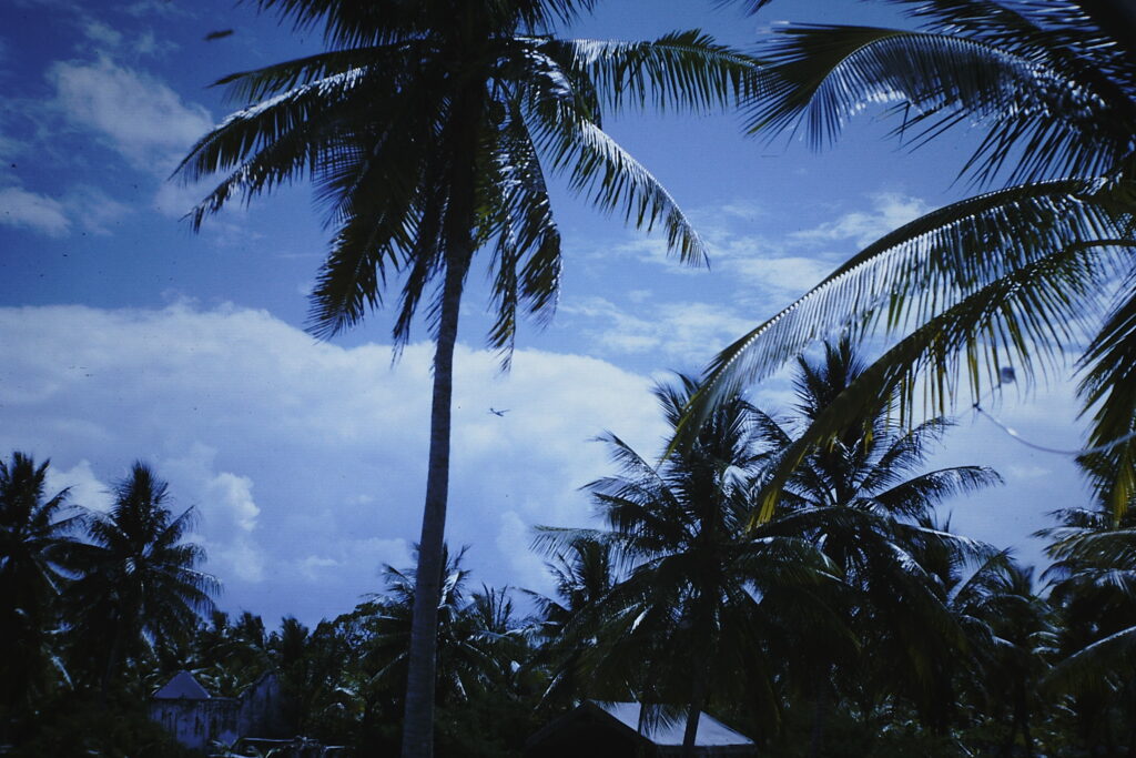 Véronique Caye, Polynésia 66, constellation, Orion, Peau, Cancer, Tahiti, essais nucléaires, Jeu de Paume, mémoire, enquête, Frédéric Martin, 5ruedu, chronique, oeuvre, photographie, film,