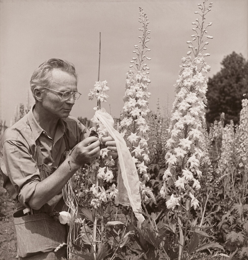 Steichen, Edward, Atelier EXB, Photo Poche, Actes Sud, Exposition, Arles, Nature, fleur, moderne, fondateur, chronique, livre, photographie, Frédéric Martin, 5ruedu, 