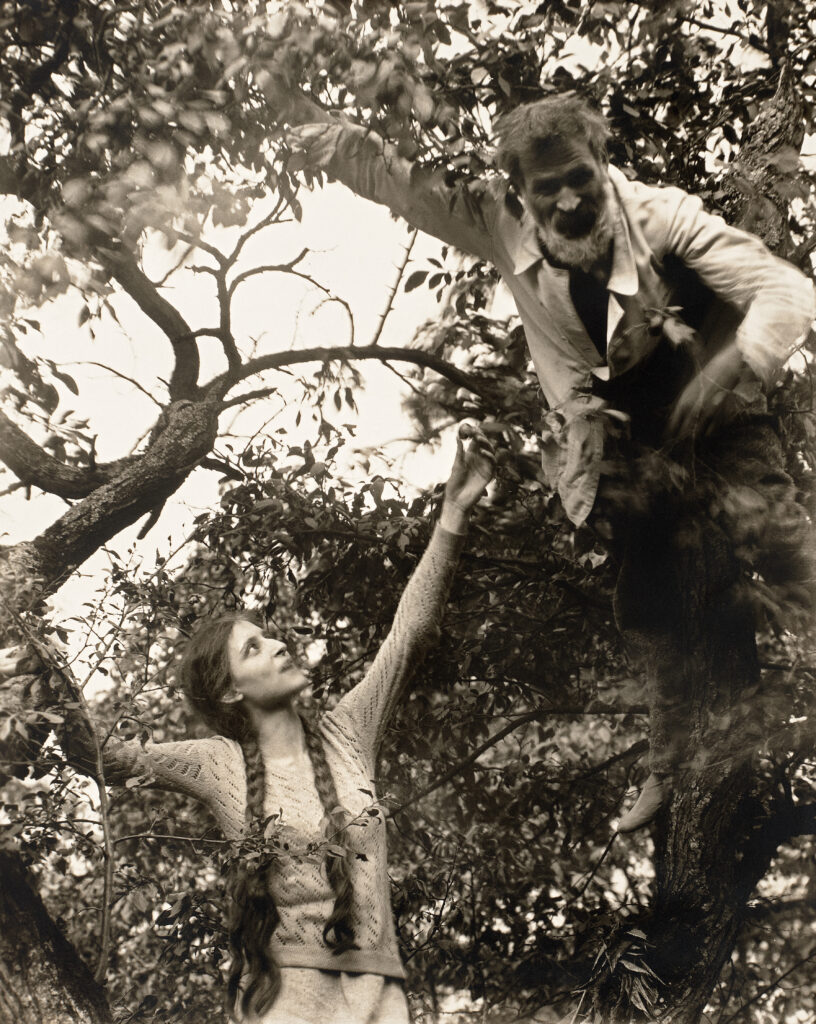 Steichen, Edward, Atelier EXB, Photo Poche, Actes Sud, Exposition, Arles, Nature, fleur, moderne, fondateur, chronique, livre, photographie, Frédéric Martin, 5ruedu, 