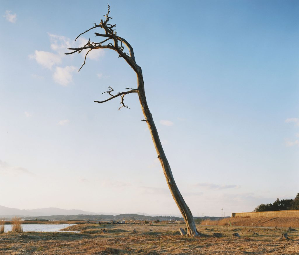 Naoya Hatakeyama, éditions Lightmotiv, arbres, japon, Tsunami, conséquence, chambre, vie, mort, présence, humaine, chronique livre, photo, 5ruedu, Frédéric Martin, 
