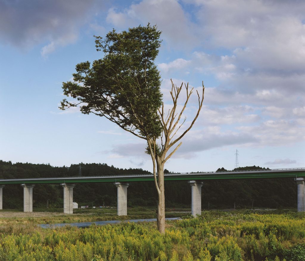 Naoya Hatakeyama, éditions Lightmotiv, arbres, japon, Tsunami, conséquence, chambre, vie, mort, présence, humaine, chronique livre, photo, 5ruedu, Frédéric Martin, 