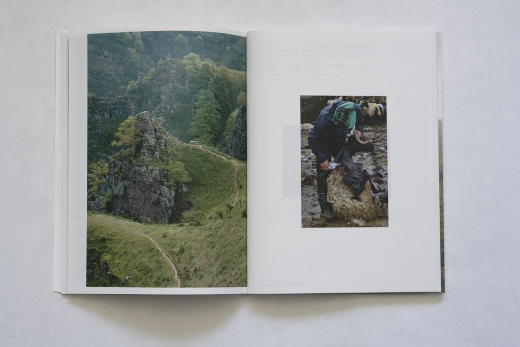 buru beltza têtes noires, Hélène David, prix des libraires, Mylis de Kerangal, sun/sun, brebis, pays Basque, nature, vie, poésie, 5ruedu, chronique, livre, photo, Frédéric Martin,