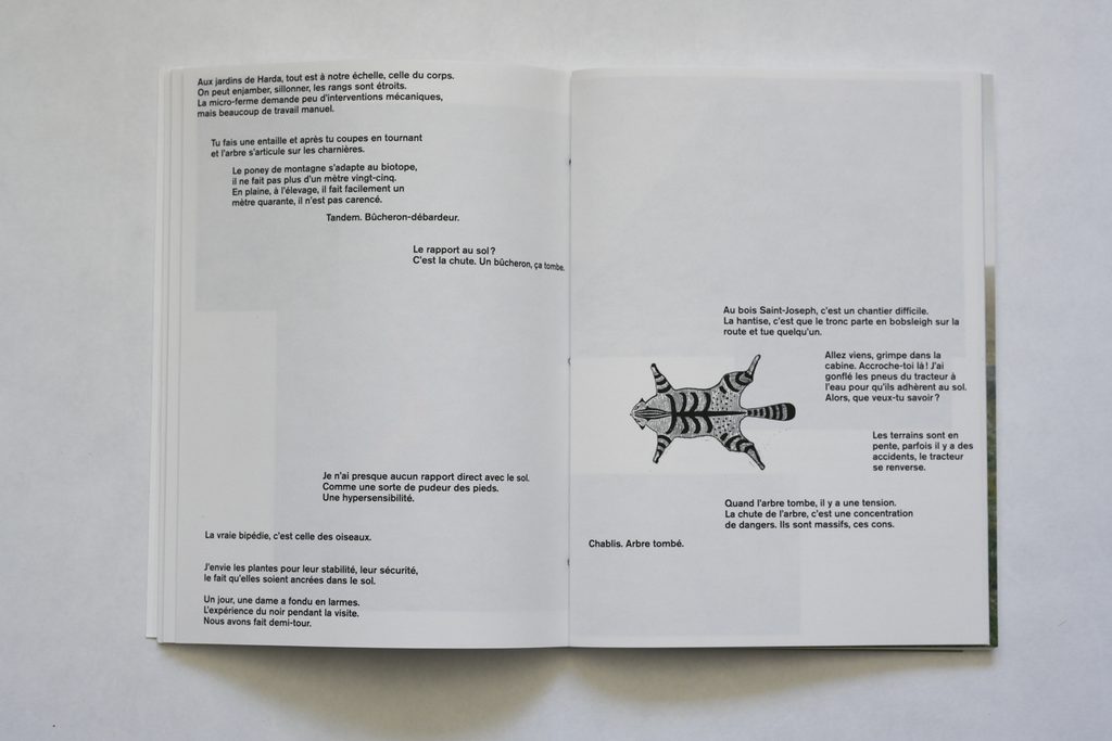 buru beltza têtes noires, Hélène David, prix des libraires, Mylis de Kerangal, sun/sun, brebis, pays Basque, nature, vie, poésie, 5ruedu, chronique, livre, photo, Frédéric Martin,