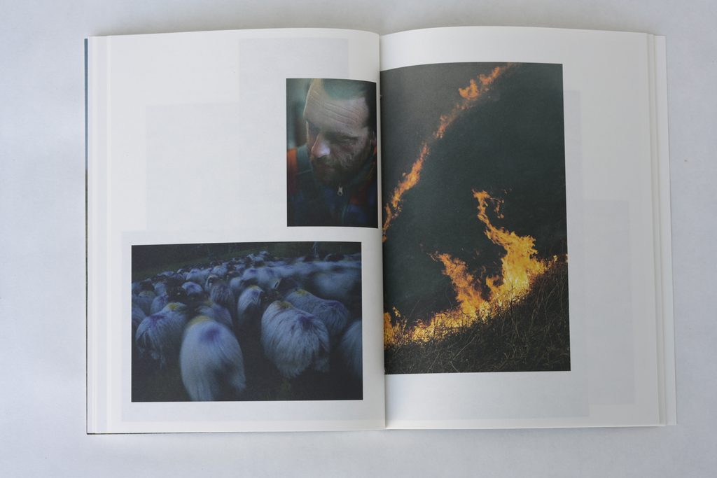buru beltza têtes noires, Hélène David, prix des libraires, Mylis de Kerangal, sun/sun, brebis, pays Basque, nature, vie, poésie, 5ruedu, chronique, livre, photo, Frédéric Martin,