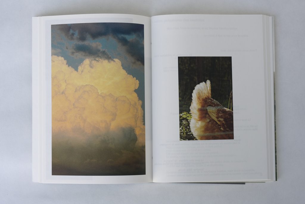 buru beltza têtes noires, Hélène David, prix des libraires, Mylis de Kerangal, sun/sun, brebis, pays Basque, nature, vie, poésie, 5ruedu, chronique, livre, photo, Frédéric Martin,